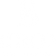 BIRON