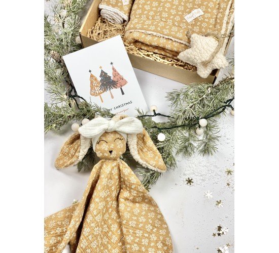 Baby Box Xmas Mini Camel