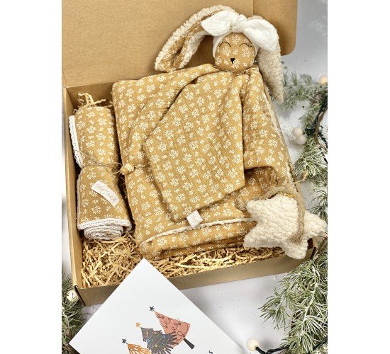 Baby Box Xmas Mini Camel