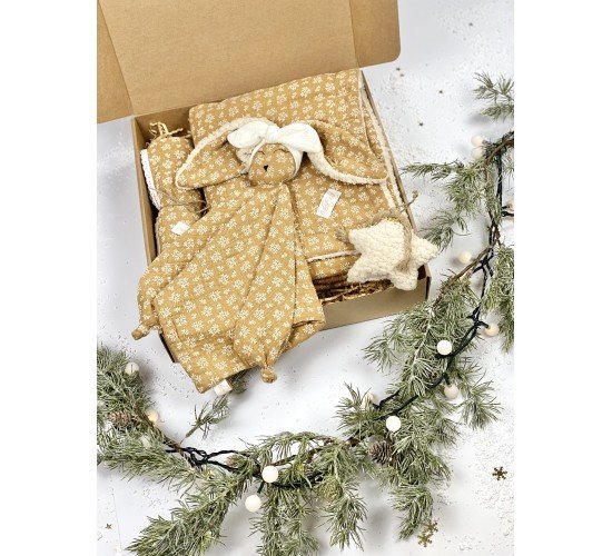 Baby Box Xmas Mini Camel