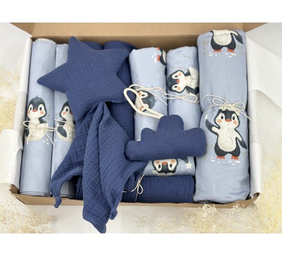 Penguin Baby Box