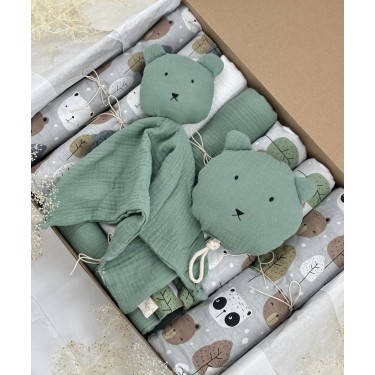 Bear Buddies Baby Box 