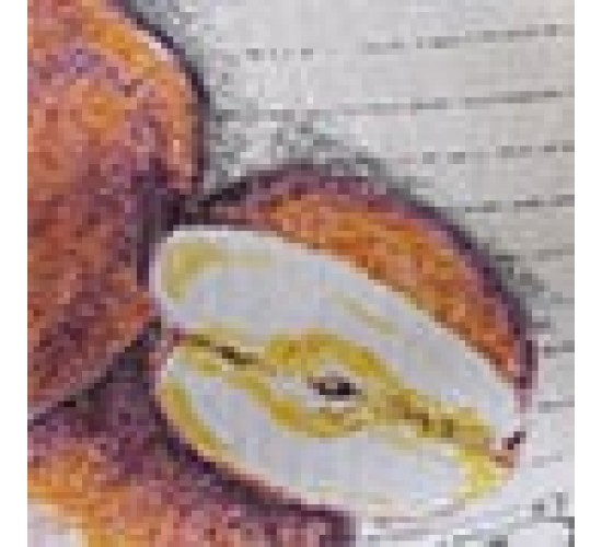 Τραβέρσα με Σχέδιο Φρούτα Recipe Fruits Τραβέρσα (45x170cm) Multi