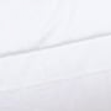 Λευκό Πάπλωμα με Πουπουλένια Αίσθηση Down Alternative Υπέρδιπλη (220x240cm) Άσπρο