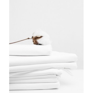 Επαγγελματική Μεμονωμένη Μαξιλαροθήκη Healthy 50x70cm Άσπρο