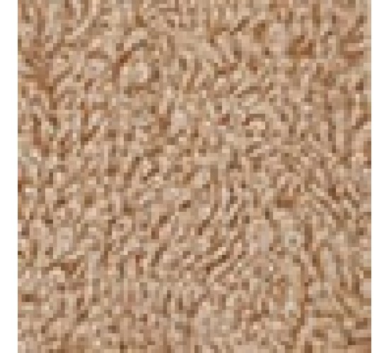 Αντιχλωριακή Βαμβακερή Πετσέτα Πισίνας Blur 480gsm 75x180cm  Λουτρού | 75x180cm Μπεζ