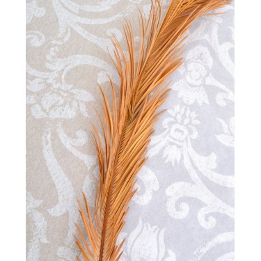 Ύφασμα Λονέτα Mesina Φ280cm σε 2 Αποχρώσεις Μπεζ