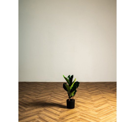 Φίκος Φυτό Τεχνητό Plant 50cm.  Πράσινο