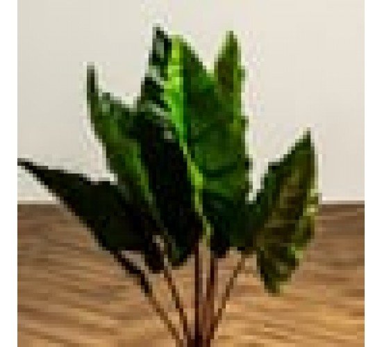 Κολοκασία Τεχνητή Πράσινη Plant 60cm.  Πράσινο