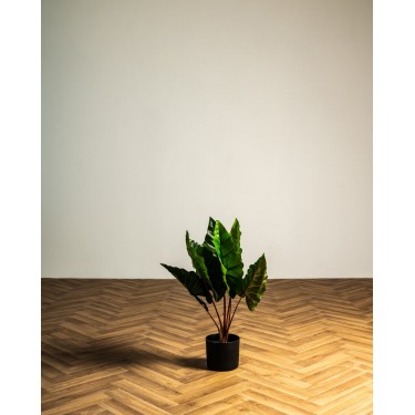 Κολοκασία Τεχνητή Πράσινη Plant 60cm.  Πράσινο