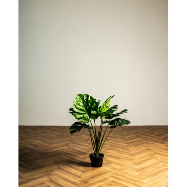Μονστέρα Τεχνητή Πράσινη Plant 60cm. Πράσινο
