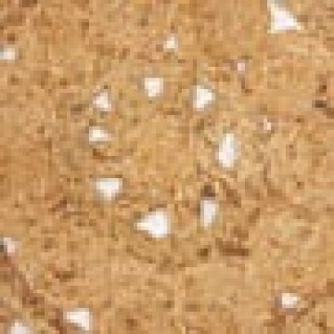 Ψάθα Πλεκτό Στρογγυλό Σουπλά από Γιούτα Shiloh Φ35cm Διάμετρος 35cm Μπεζ