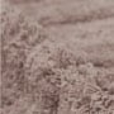 Βαμβακερό Πατάκι Μπάνιου Ανάγλυφη Φάσα Carine 50x70cm 50x70cm Μπεζ