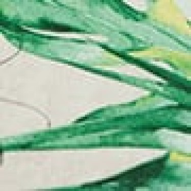 Τραπεζομάντηλο με Σχέδιο Φοίνικες Palmeras 8 ατόμων | 130x250cm Πράσινο