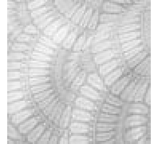 Τραβέρσα με Γεωμετρικό Σχέδιο Napoli 45x172cm Τραβέρσα (45x172cm) Γκρι