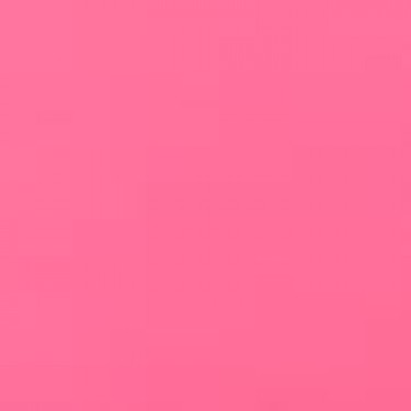 Σετ 12 Τεμαχίων Φούξια Πλαστικοί Κρίκοι Κουρτίνας Μπάνιου Shower Φούξια