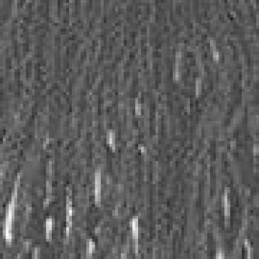 Βαμβακερή Τσάντα Δίχτυ Iliny σε 4 αποχρώσεις 40x45cm Γκρι