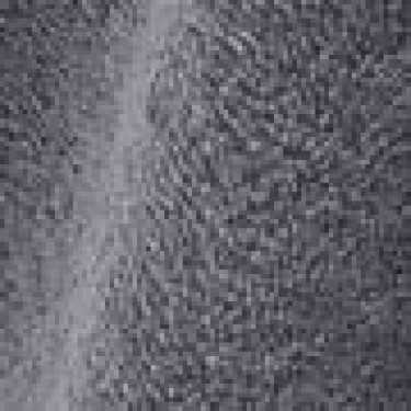 Βαμβακερή Πετσέτα Vat Nautical 500gsm Μπουρνουζοπετσέτα | 90x200cm Ανθρακί