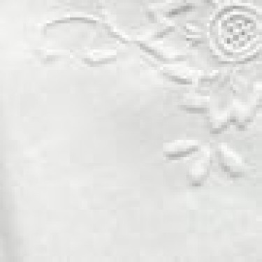 Λινή Πετσέτα Φαγητού Κηπούρ με Κέντημα 40x40cm 40x40cm Άσπρο