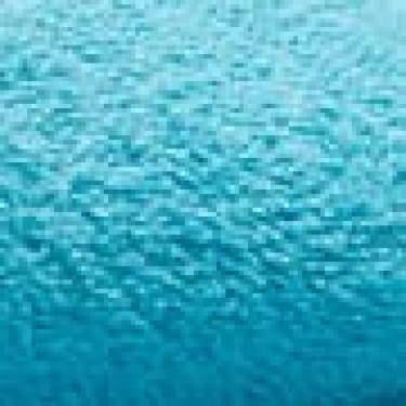 Βαμβακερή Πετσέτα Atlas 630gsm Λουτρού | 75x190cm Τιρκουάζ