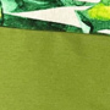 Πράσινη Ποδιά Μπούστο με Εμπριμέ Τσέπη Panama Μπούστο (66x96cm)