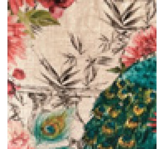 Αδιάβροχη Μαξιλαροθήκη Digital Print Σχέδιο Παγώνι Alimia 50x50cm 50x50cm Multi