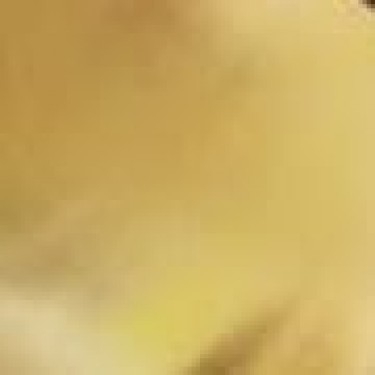 Μαχαίρι Cultery με χρυσό ματ φινίρισμα One Size Χρυσό