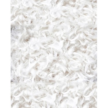 Καπιτονέ Πουπουλένιο Πάπλωμα 80%  Πούπουλο-20%  Φτερό Cambridge Υπέρδιπλη (220x240cm) Άσπρο