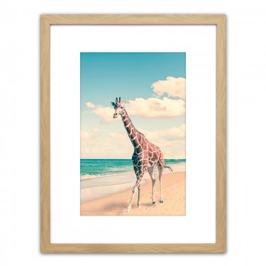 Πίνακας Σε Κορνίζα ArteLibre Πλαστικό -Άγρια Ζώα Στη Θάλασσα II- 35x45x1.8cm