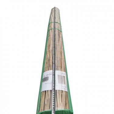 Καλαμωτή ArteLibre ELNICK Με Ολόκληρο Καλάμι 1x3m