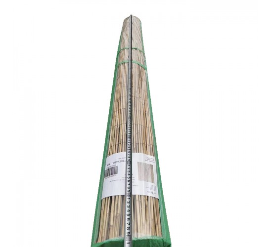 Καλαμωτή ArteLibre ELNICK Με Ολόκληρο Καλάμι 2x3m