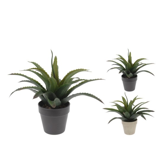 Φυτό Τεχνητό ArteLibre 25cm Σε Γλαστράκι Φ95mm Με Πέτρες Σε 2 Χρώματα