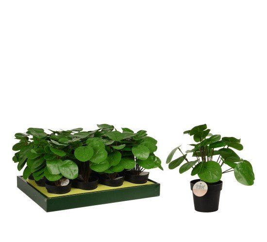 Φυτό Τεχνητό Pilea 25cm Μαύρο Σε Μαύρο Γλαστράκι 98x85mm Φυτό Τεχνητό Pilea 25cm Μαύρο Σε Μαύρο Γλαστράκι 98x85mm