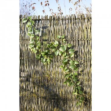 Γιρλάντα ArteLibre Τεχνητό Πράσινο 190cm