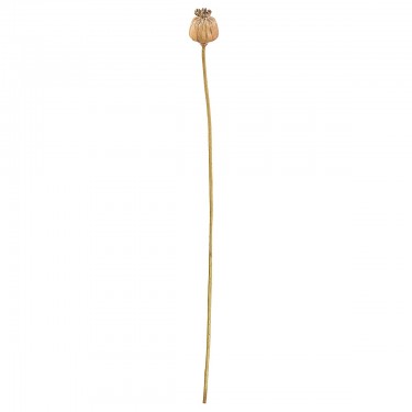 Κλαδί Σενέκιο ArteLibre Τεχνητό Καφέ 55cm