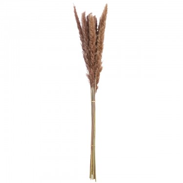 Δέσμη Πάμπας Γρασίδι Συνθετικό Καφέ 70cm