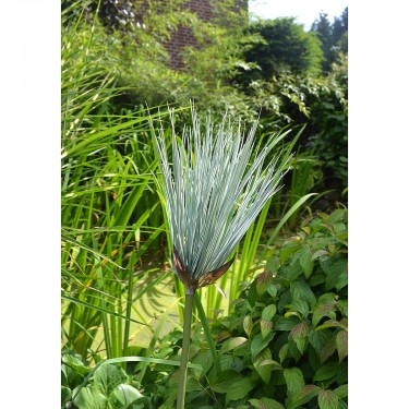 Κλαδί ArteLibre Τεχνητό Πράσινο 74cm