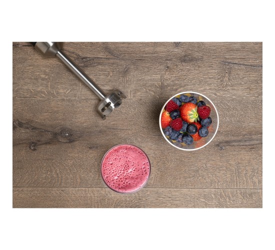 Ραβδομπλέντερ 700ml 1000W Ανοξείδωτο ALPINA