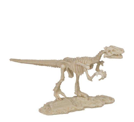 Παιχνίδι Κιτ Ανασκαφής Δεινόσαυρου 4.5x18cm Σε 6 Σχέδια