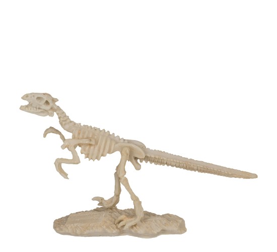 Παιχνίδι Κιτ Ανασκαφής Δεινόσαυρου 4.5x18cm Σε 6 Σχέδια