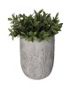 Κασπώ ArteLibre Λουλούδι Γκρι Τσιμέντο 18.5x18.5x25cm