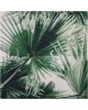 Μαξιλάρι ArteLibre Φύλλα Φοίνικα Πράσινο Βαμβακερό 40x60cm