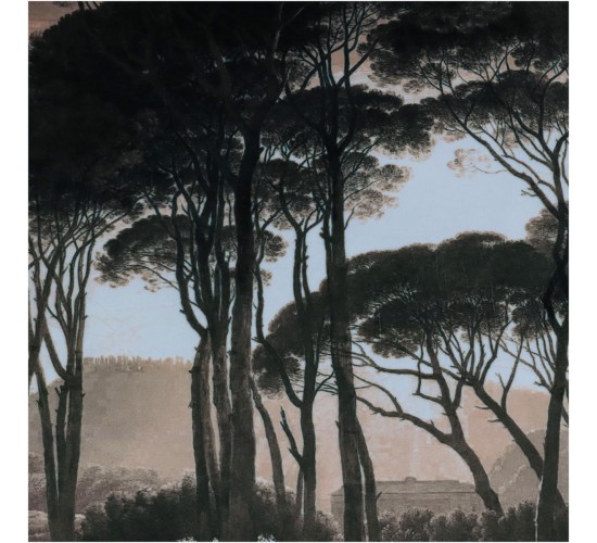 Μαξιλάρι Δάσος Καφέ Βελούδο 45x45cm Μαξιλάρι Δάσος Καφέ Βελούδο 45x45cm