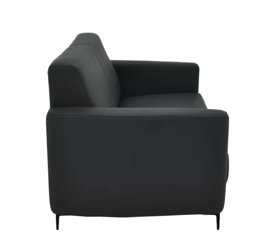 Καναπές διθέσιος Sidica I PU σε μαύρη απόχρωση 135x78x83εκ Υλικό: PU - METAL -WOOD 069-000085 Καναπές διθέσιος Sidica I PU σε μαύρη απόχρωση 135x78x83εκ Υλικό: PU - METAL -WOOD 069-000085