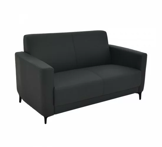 Καναπές διθέσιος Sidica I PU σε μαύρη απόχρωση 135x78x83εκ Υλικό: PU - METAL -WOOD 069-000085 Καναπές διθέσιος Sidica I PU σε μαύρη απόχρωση 135x78x83εκ Υλικό: PU - METAL -WOOD 069-000085