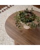 Τραπέζι σαλονιού Tabletod σε καρυδί απόχρωση 119x60x40εκ Υλικό: MELAMINE COATED PARTICLE BOARD 071-001604 Τραπέζι σαλονιού Tabletod σε καρυδί απόχρωση 119x60x40εκ Υλικό: MELAMINE COATED PARTICLE BOARD 071-001604