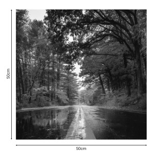 Πίνακας σε καμβά Savgone ψηφιακής εκτύπωσης 50x1.8x50εκ Υλικό: MELAMINE 176-000168