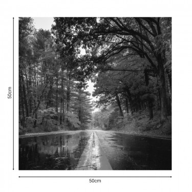 Πίνακας σε καμβά Savgone ψηφιακής εκτύπωσης 50x1.8x50εκ Υλικό: MELAMINE 176-000168