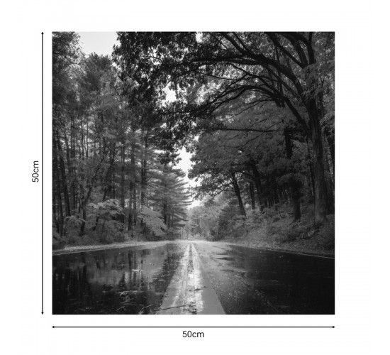 Πίνακας σε καμβά Savgone ψηφιακής εκτύπωσης 50x1.8x50εκ Υλικό: MELAMINE 176-000168