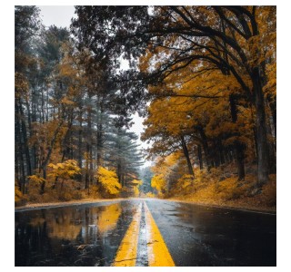 Πίνακας σε καμβά Savgone ψηφιακής εκτύπωσης 50x1.8x50εκ Υλικό: MELAMINE 176-000168